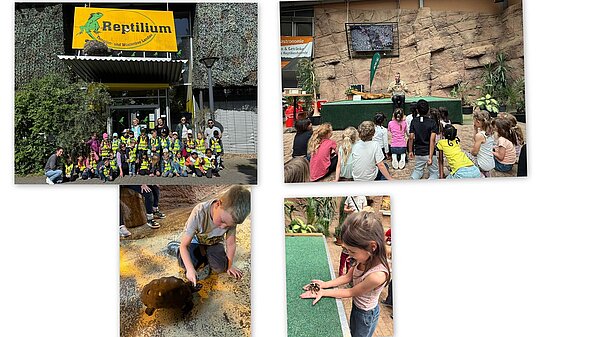 Bildercollage mit Gruppenbild, Kind mit Vogelspinne auf der Hand, Kind streichelt eine Schildkröte sowie Blick auf die Kinder beim Einführungsfilm.